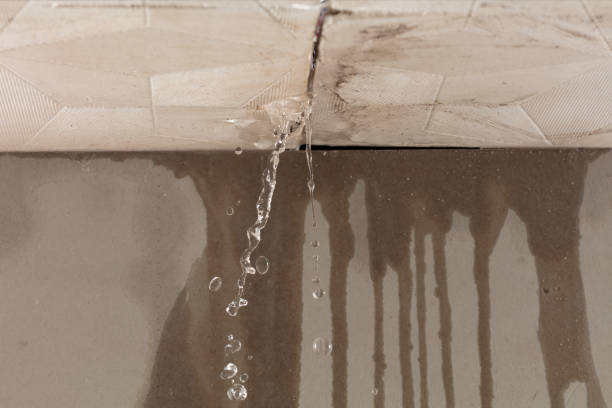 Professional Water Damage Inspection technician working in Saint Louis, MI